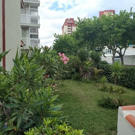 Playa Black Grape Apartment *