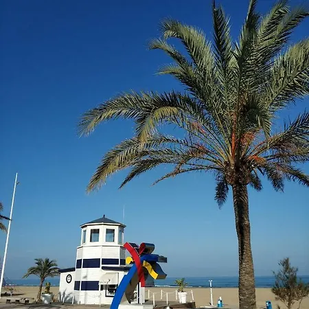 Playa Black Grape * Gandia